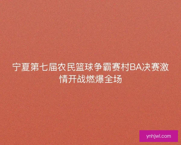 宁夏第七届农民篮球争霸赛村BA决赛激情开战燃爆全场